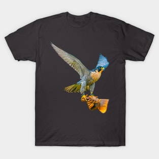 Falconers Peregrine T-Shirt